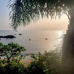 Boat Tours - Hastings