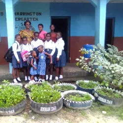 Hastings Beach - Hastings