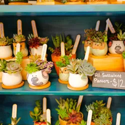 Local Market - Hastings