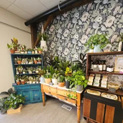 Local Market - Hastings