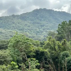 Western Area Peninsula National Park - Hastings