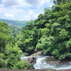 Western Area Peninsula National Park - Hastings