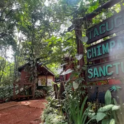 Atlantic Ocean Coastal Walks - Lungi