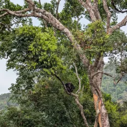 Atlantic Ocean Coastal Walks - Lungi