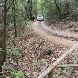 Atlantic Ocean Coastal Walks - Lungi