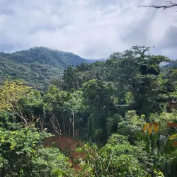 Atlantic Ocean Coastal Walks - Lungi