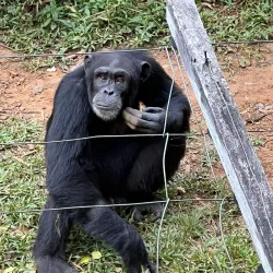 Atlantic Ocean Coastal Walks - Lungi