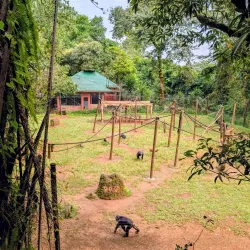 Atlantic Ocean Coastal Walks - Lungi