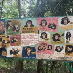 Atlantic Ocean Coastal Walks - Lungi