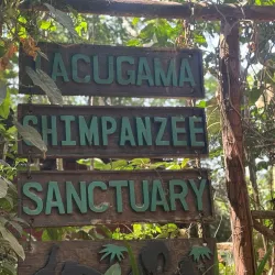 Atlantic Ocean Coastal Walks - Lungi