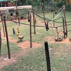 Atlantic Ocean Coastal Walks - Lungi