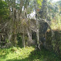 Bunce Island (accessible from Lungi) - Lungi