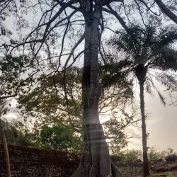 Bunce Island (accessible from Lungi) - Lungi