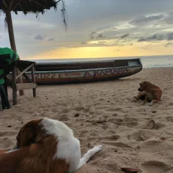 Local Seafood Restaurants - Lungi