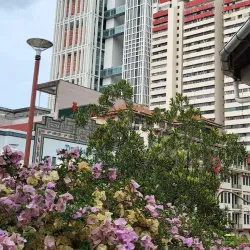 Chinatown - Singapore