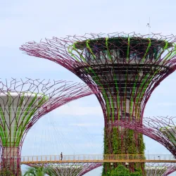 Gardens by the Bay - Singapore