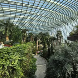 Gardens by the Bay - Singapore