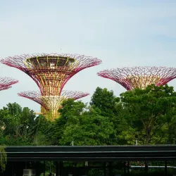 Gardens by the Bay - Singapore