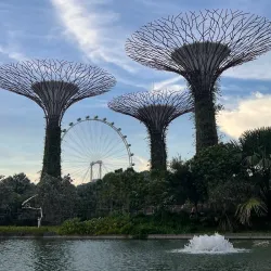 Gardens by the Bay - Singapore