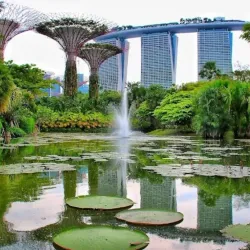 Gardens by the Bay - Singapore