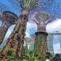 Gardens by the Bay - Singapore