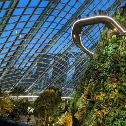 Gardens by the Bay - Singapore