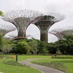 Gardens by the Bay - Singapore