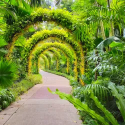 Singapore Botanic Gardens - Singapore