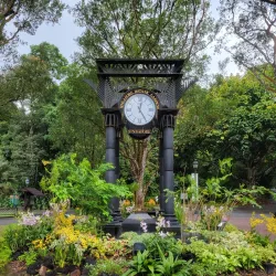 Singapore Botanic Gardens - Singapore