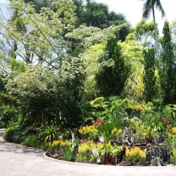 Singapore Botanic Gardens - Singapore