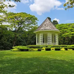 Singapore Botanic Gardens - Singapore