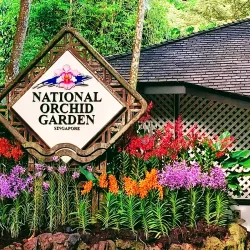 Singapore Botanic Gardens - Singapore
