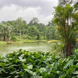 Singapore Botanic Gardens - Singapore