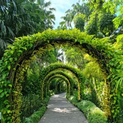 Singapore Botanic Gardens - Singapore