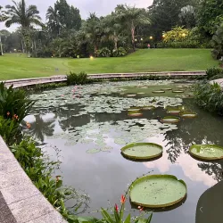 Singapore Botanic Gardens - Singapore