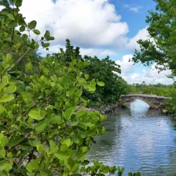 Le Galion Beach - Cul De Sac