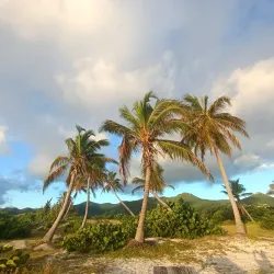 Le Galion Beach - Cul De Sac