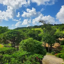 Loterie Farm - Cul De Sac