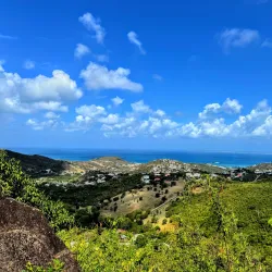 Loterie Farm - Cul De Sac