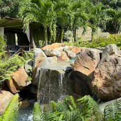 Loterie Farm - Cul De Sac