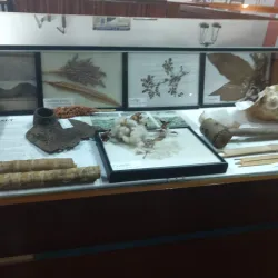 Sint Maarten Museum - Cul De Sac