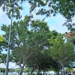 La Savane Park - Marigot