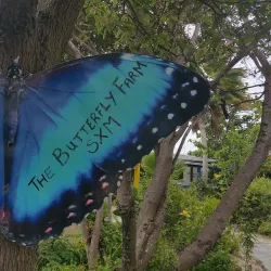 The Butterfly Farm - Marigot
