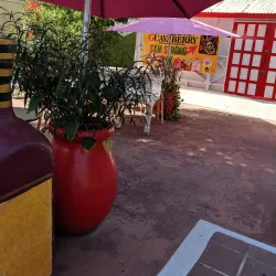 Guavaberry Emporium - Philipsburg