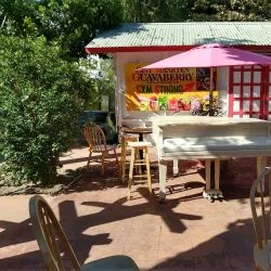 Guavaberry Emporium - Philipsburg