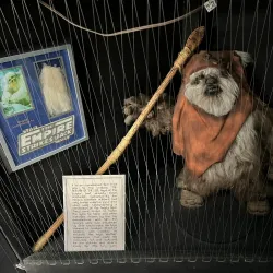 Yoda Guy Movie Exhibit - Philipsburg