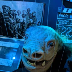 Yoda Guy Movie Exhibit - Philipsburg