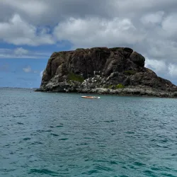 Captain Alan's Marina Bar & Grill - Simpson Bay