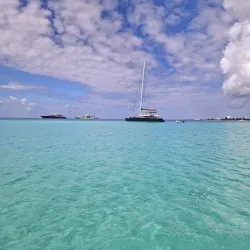 Captain Alan's Marina Bar & Grill - Simpson Bay