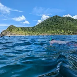 Captain Alan's Marina Bar & Grill - Simpson Bay